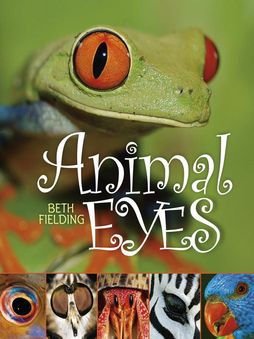 Title details for Animal Eyes by Beth Fielding - Available